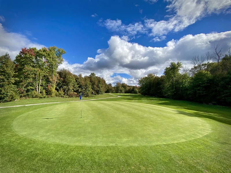 green lined with trees