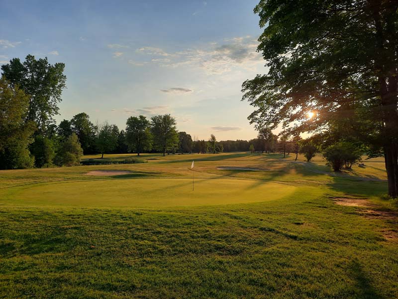 green with tree on right