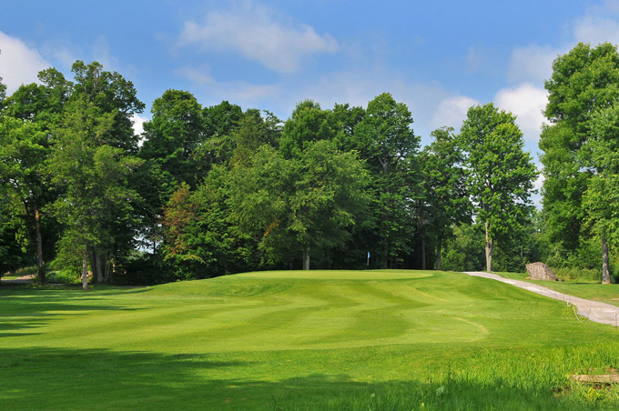 fairway view of green with trees 