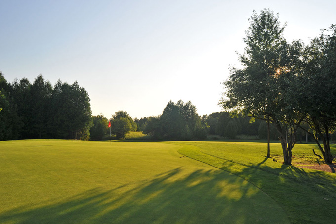 fairway of golf course with trees to the right