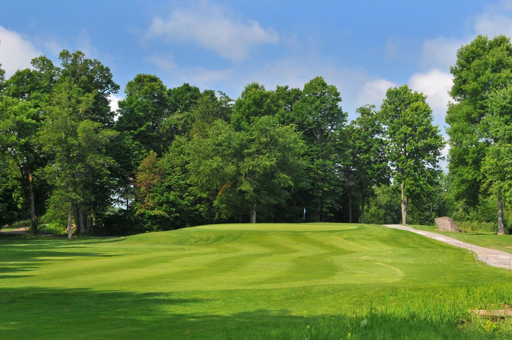 Fairway view of a green with trees surrounding green.